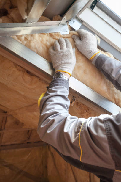Best Residential Insulation in Genesee, CO